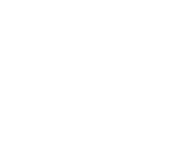 Foundation.app logo